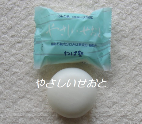 やさしいせおと